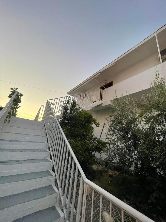 Villa Oasis Berat Eksteriør billede